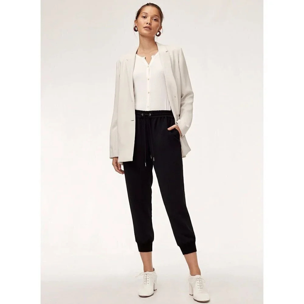 Aritzia Wilfred Buffon Pant